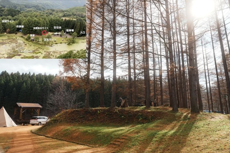 じゅんさい沼キャンプ場　林間高台サイト４