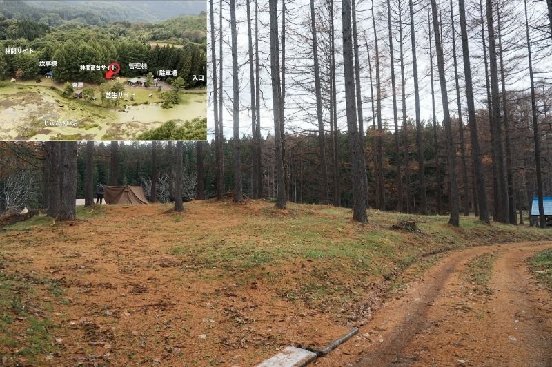 じゅんさい沼キャンプ場　林間高台サイト２