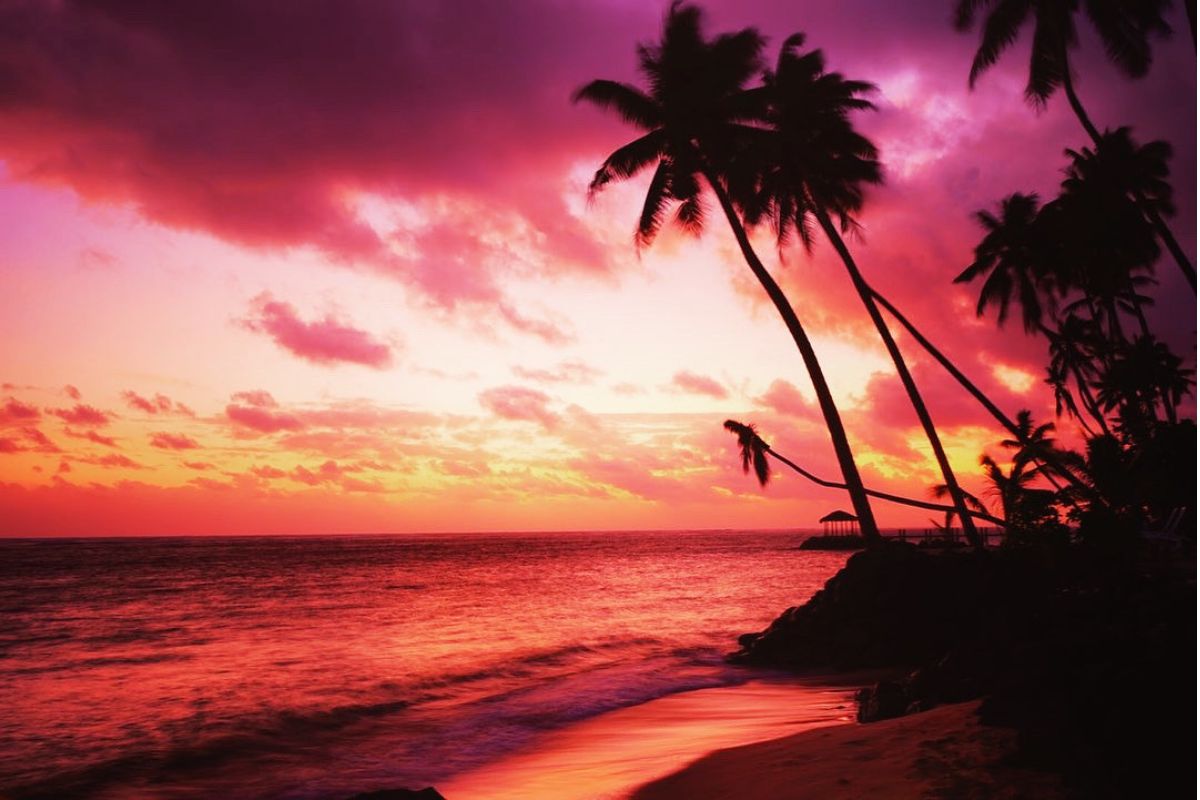 SASA SONYα7　撮影例３　サモア　夕焼け　ヤシの木