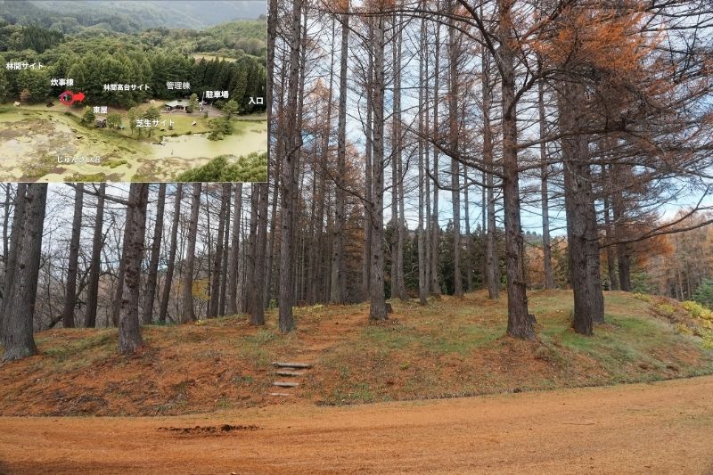 じゅんさい沼キャンプ場　林間高台サイト５