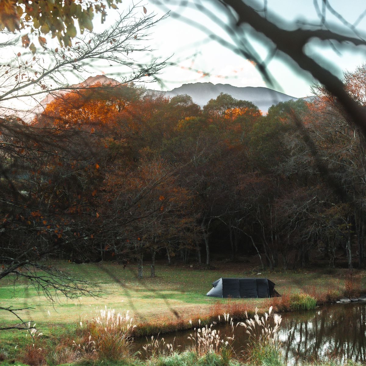 一眼 写真 ノイズ