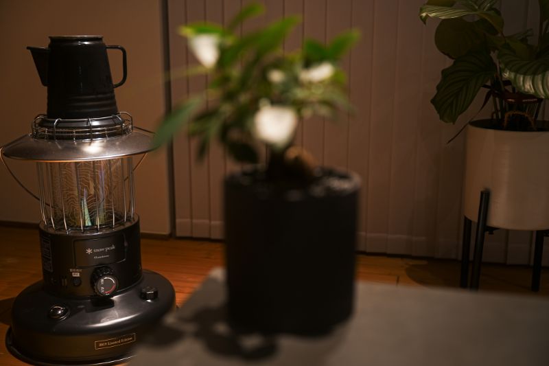 写真 ピント 置きピン