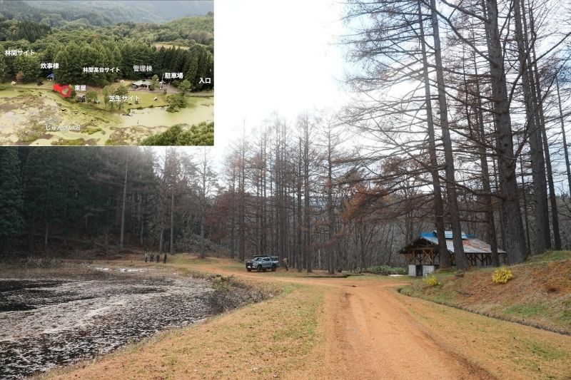 じゅんさい沼キャンプ場　林間サイト全景