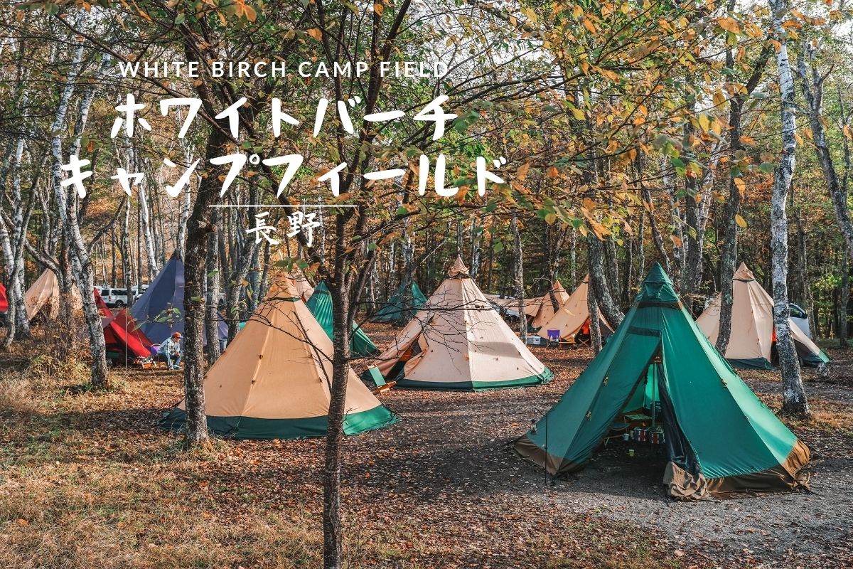 長野　ホワイトバーチキャンプフィールド　アイキャッチ　テンティピ