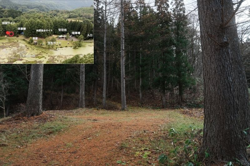 じゅんさい沼キャンプ場　林間サイト５