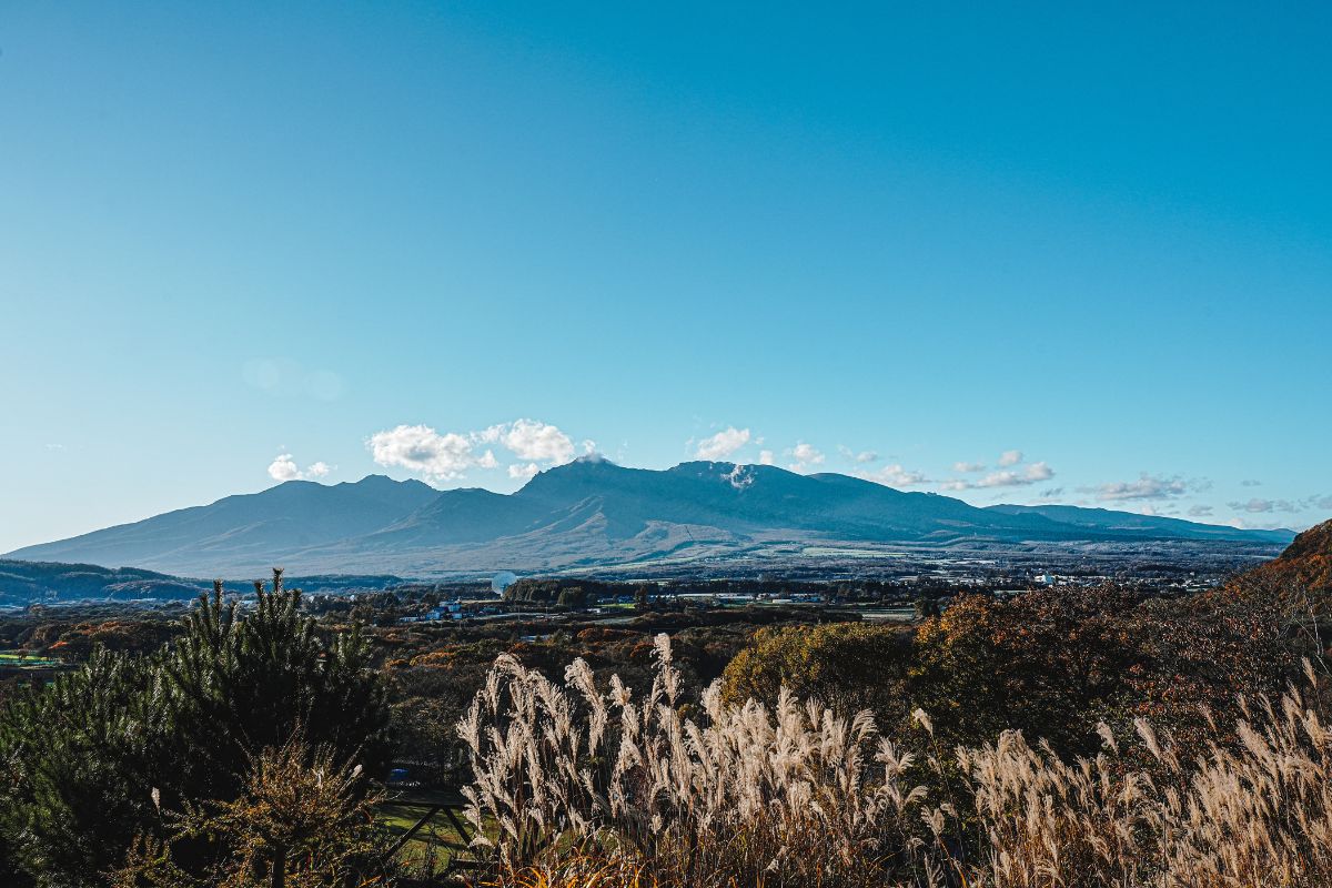 レタッチ後 一眼 写真