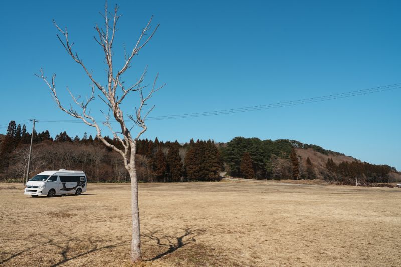 わかさぎ公園浜台キャンプ場 キャンプサイト 車両乗り入れ