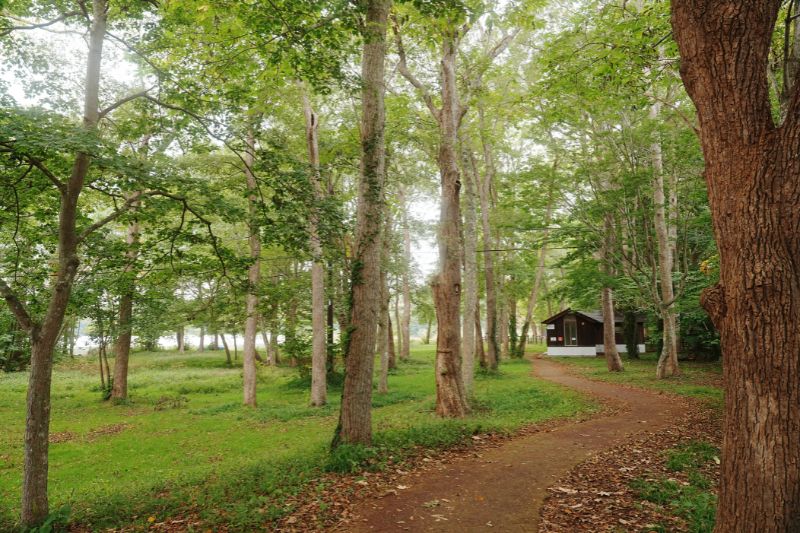 北海道 東大沼キャンプ場 林間サイト 通路