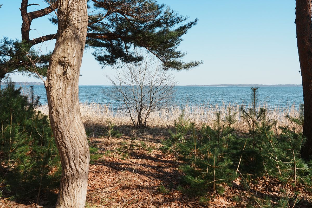わかさぎ公園浜台キャンプ場 オートキャンプ場 解説13