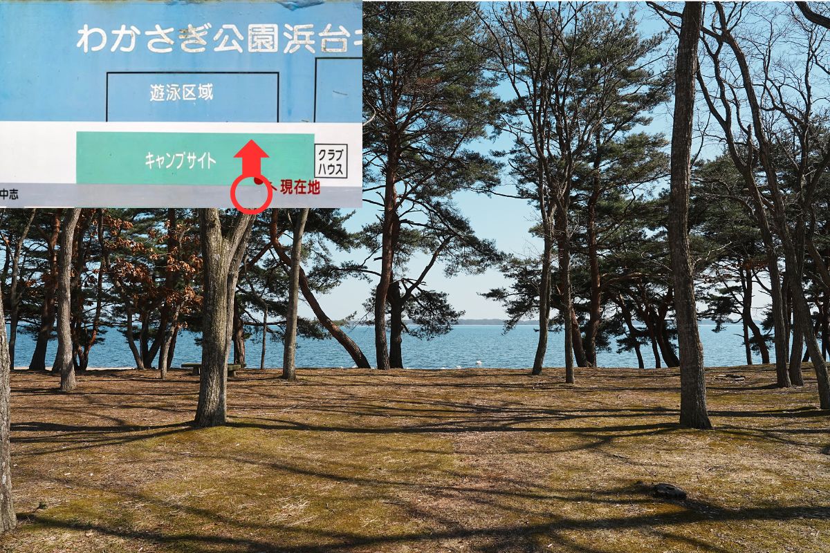 わかさぎ公園浜台キャンプ場 湖畔サイト 解説4