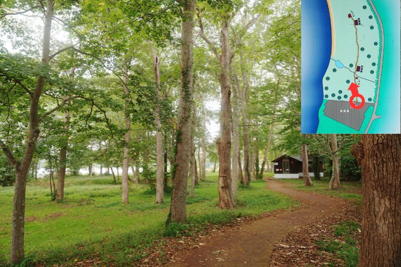 北海道 東大沼キャンプ場 林間サイト 解説1 通路