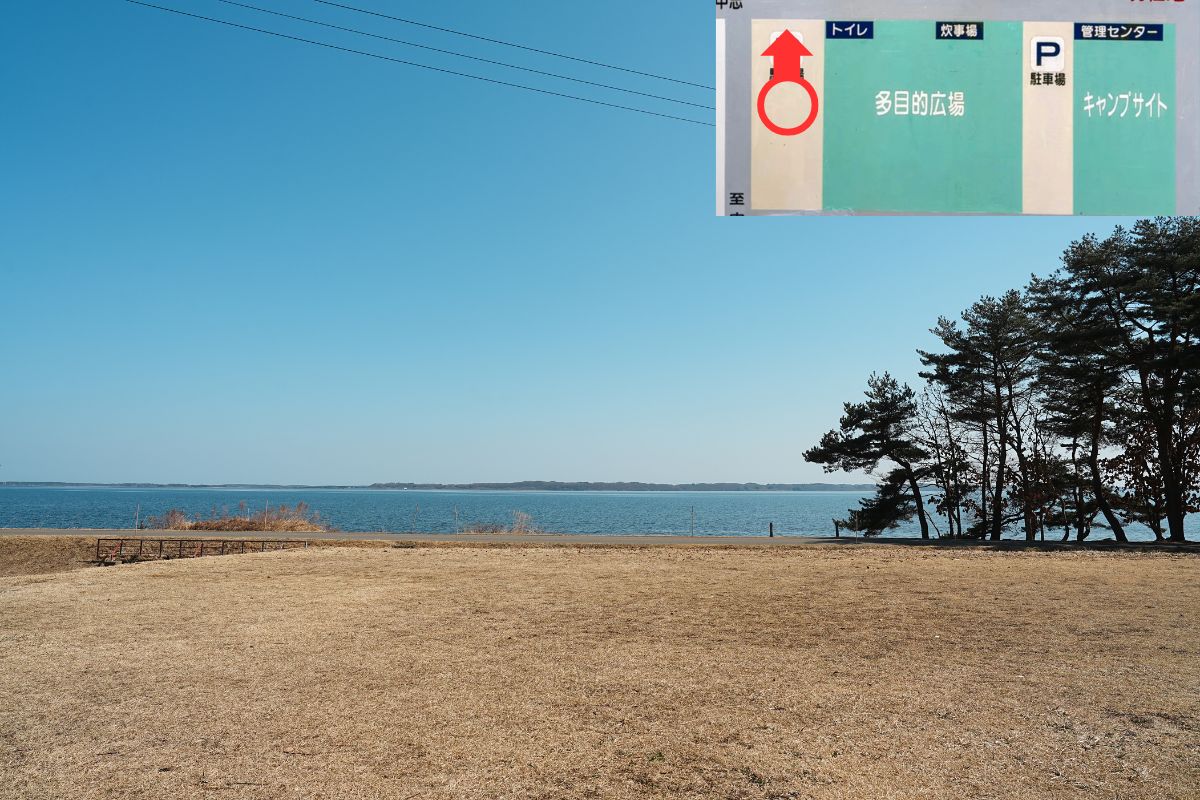 わかさぎ公園浜台キャンプ場 芝生サイト 解説11