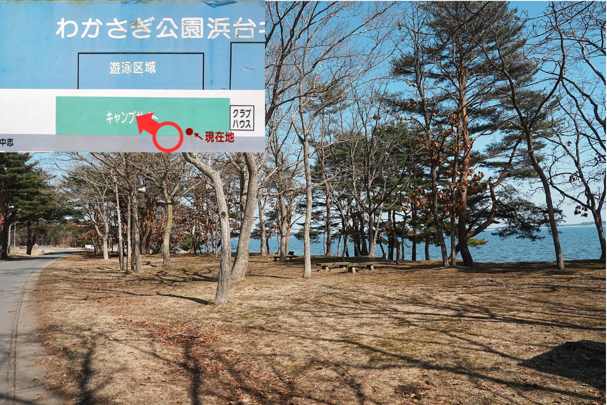 わかさぎ公園浜台キャンプ場 湖畔サイト 解説1