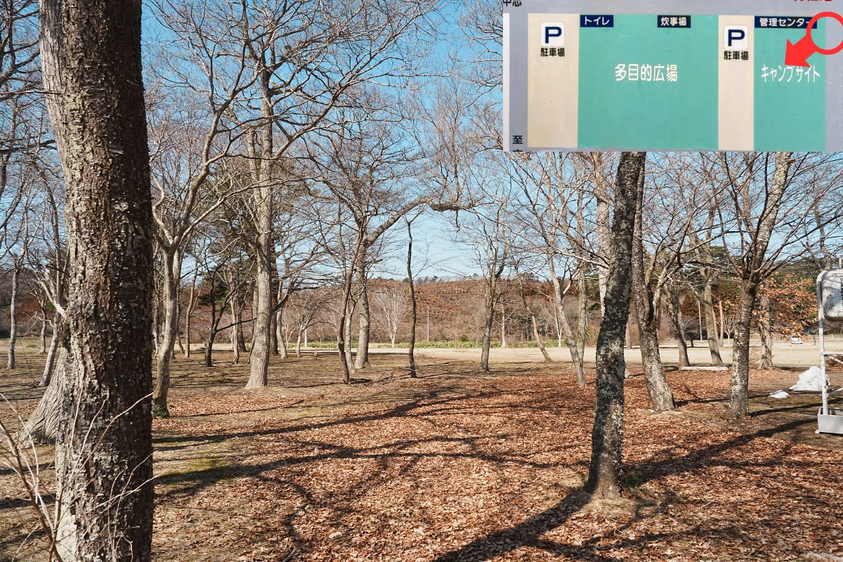わかさぎ公園浜台キャンプ場 芝生サイト 解説6
