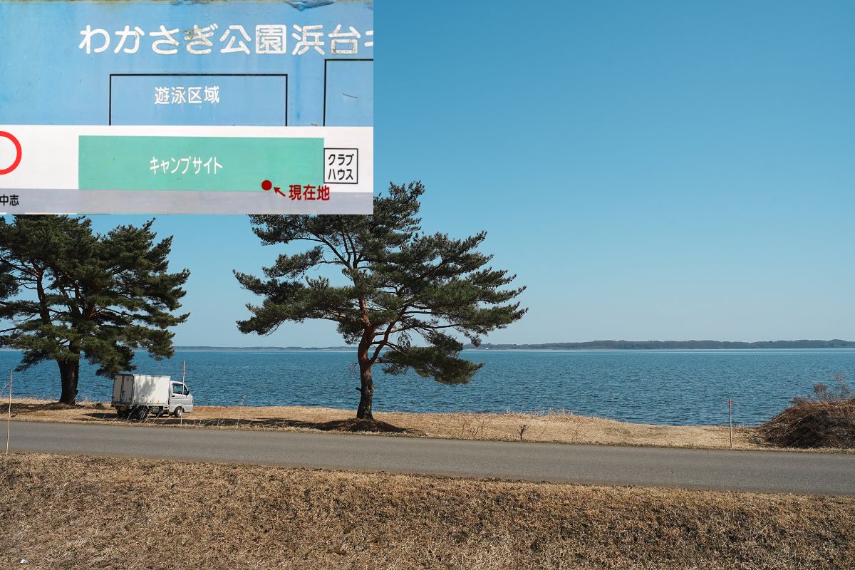 わかさぎ公園浜台キャンプ場 湖畔サイト 解説9