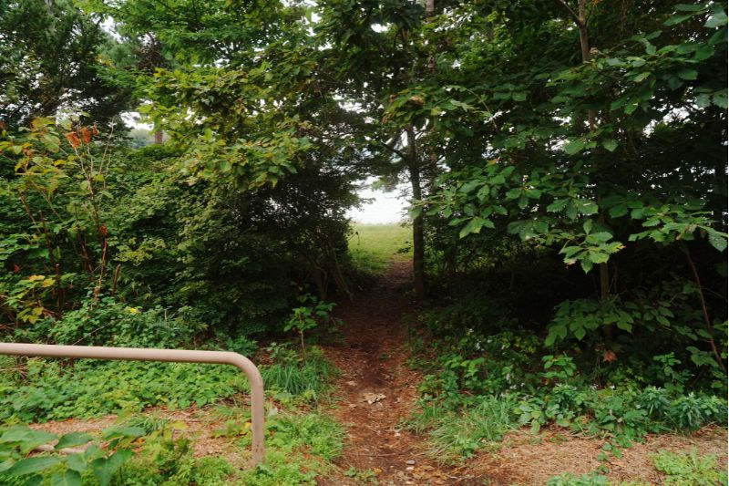 北海道 東大沼キャンプ場 道道388 サイト 通路