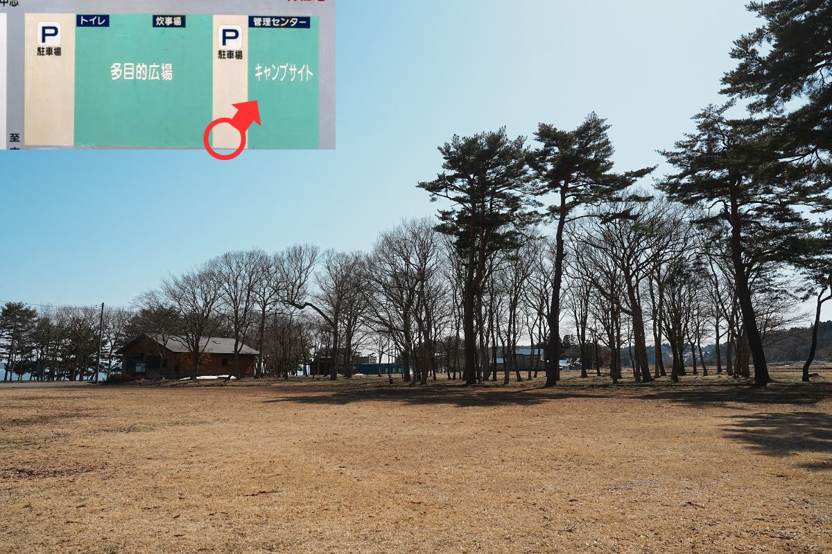 わかさぎ公園浜台キャンプ場 芝生サイト 解説2