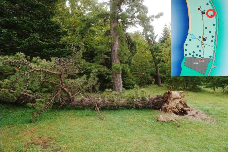 北海道 東大沼キャンプ場 湖畔サイト 解説6