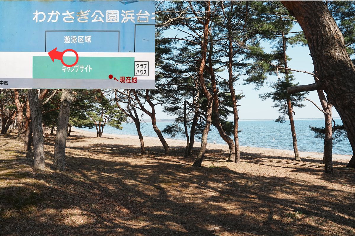 わかさぎ公園浜台キャンプ場 湖畔サイト 解説13