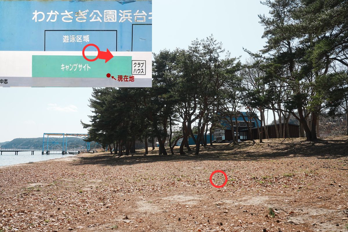 わかさぎ公園浜台キャンプ場 湖畔サイト 解説11