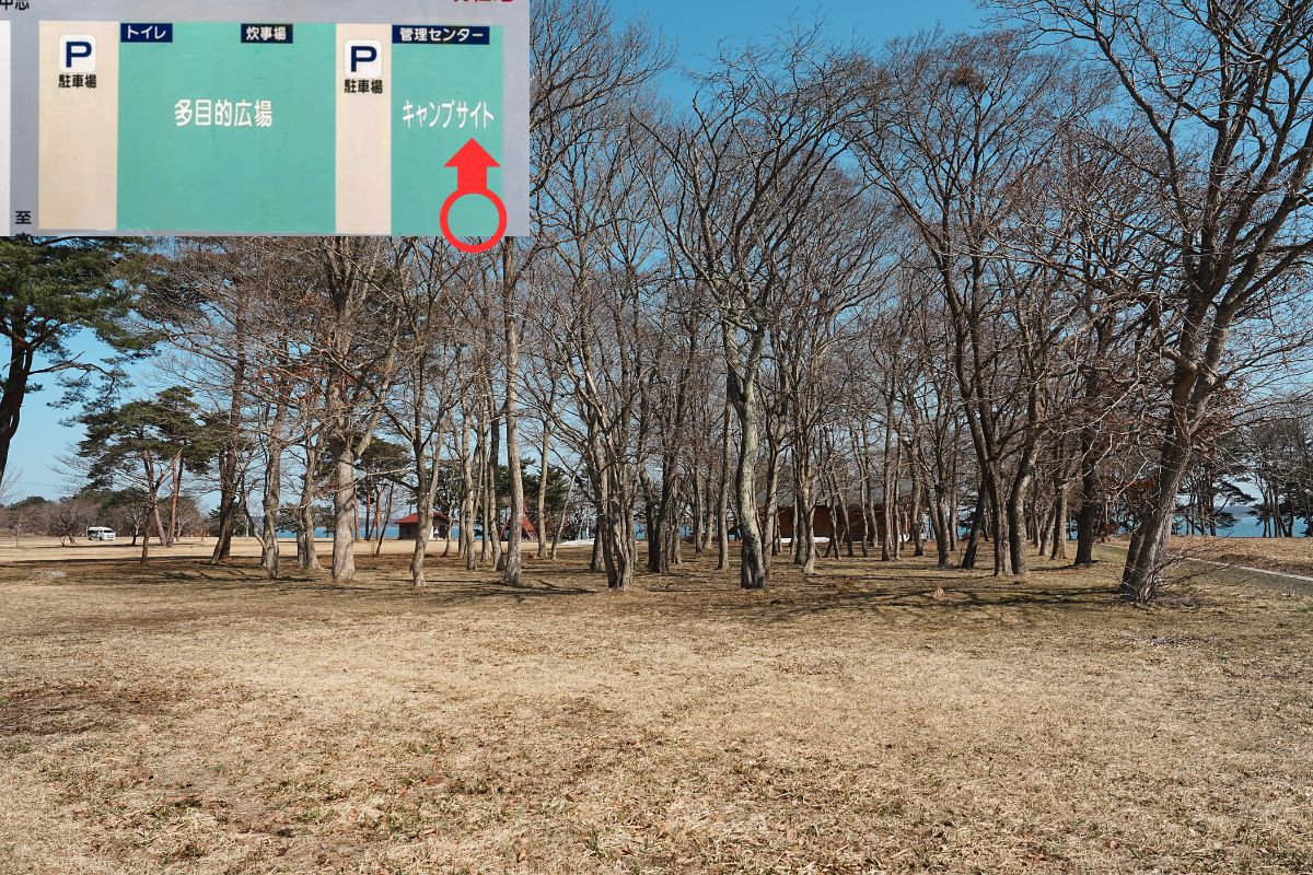 わかさぎ公園浜台キャンプ場 芝生サイト 解説4