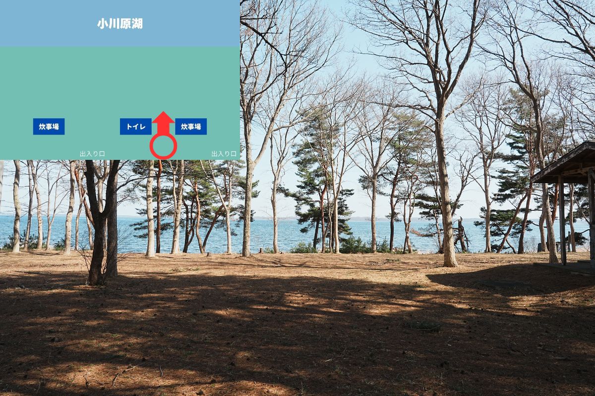 わかさぎ公園浜台キャンプ場 オートキャンプ場 解説4