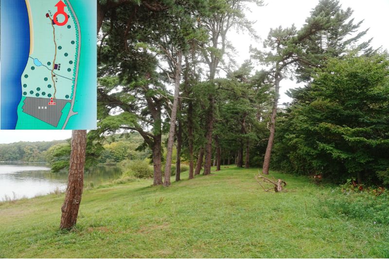 北海道 東大沼キャンプ場 湖畔サイト 解説5