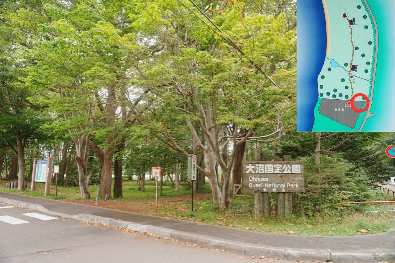 北海道 東大沼キャンプ場 入口 林間サイト