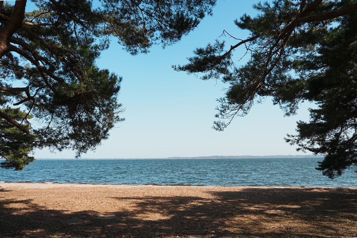 わかさぎ公園浜台キャンプ場 アイキャッチ キャンプサイト 景色