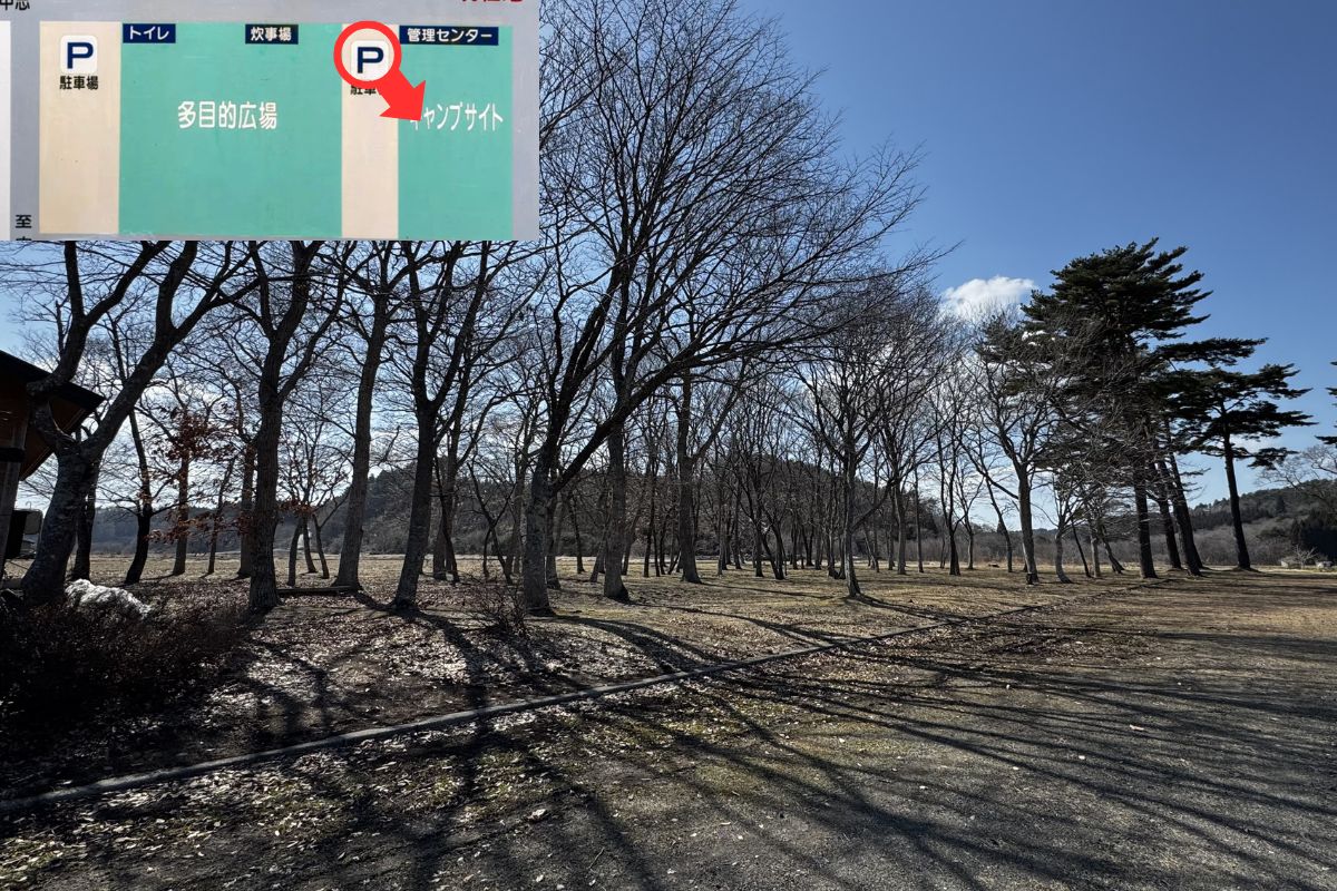 わかさぎ公園浜台キャンプ場 芝生サイト 解説1