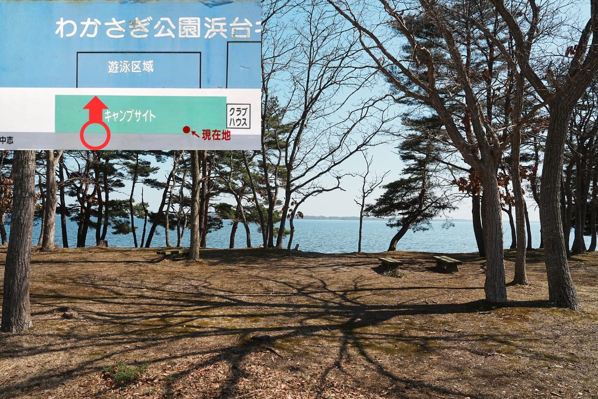 わかさぎ公園浜台キャンプ場 湖畔サイト 解説7