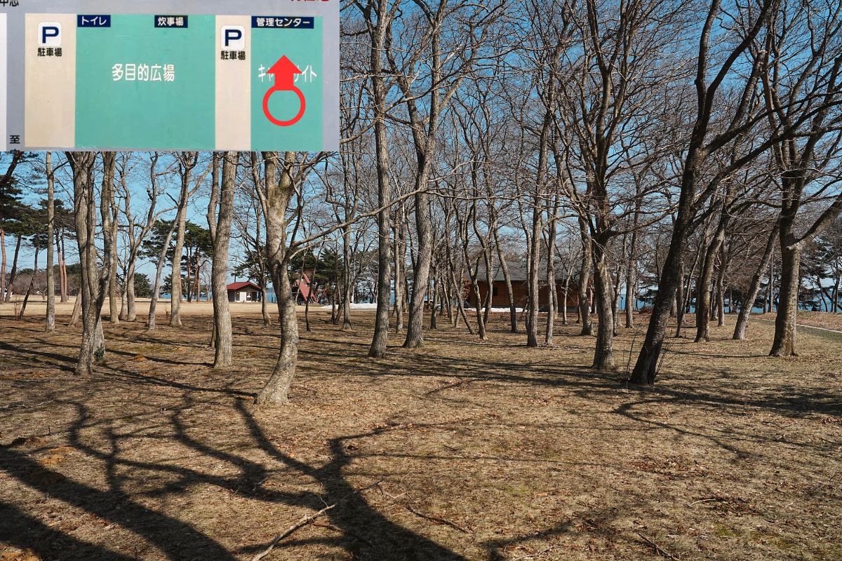 わかさぎ公園浜台キャンプ場 芝生サイト 解説5