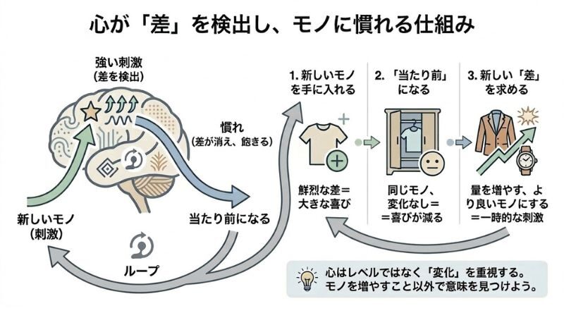 心が差を検出し、モノに慣れる仕組み イメージ