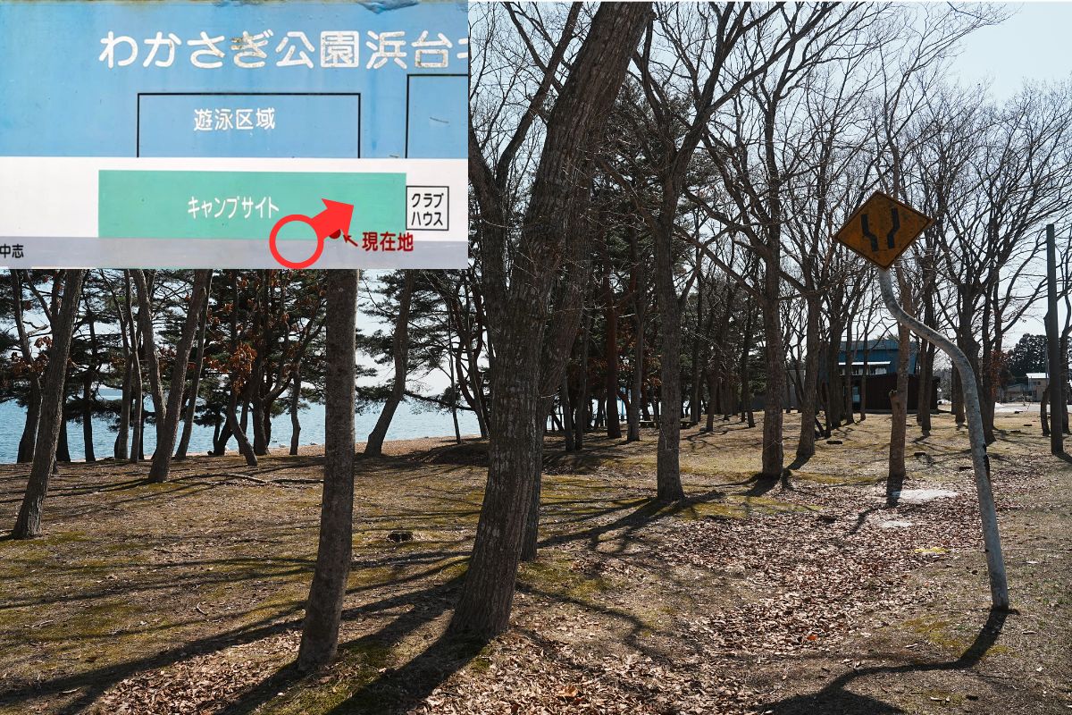 わかさぎ公園浜台キャンプ場 湖畔サイト 解説2