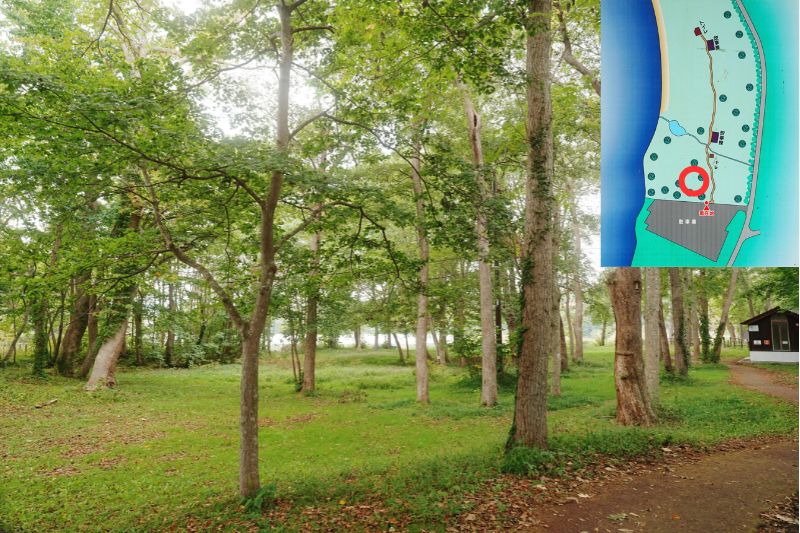 北海道 東大沼キャンプ場 林間サイト 解説2