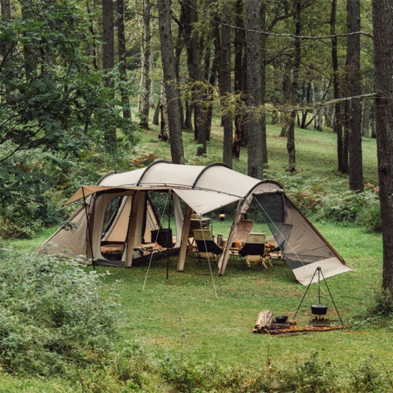 SABBATICAL　アルニカ