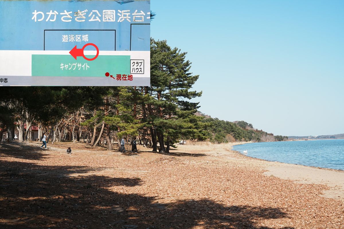 わかさぎ公園浜台キャンプ場 湖畔サイト 解説12