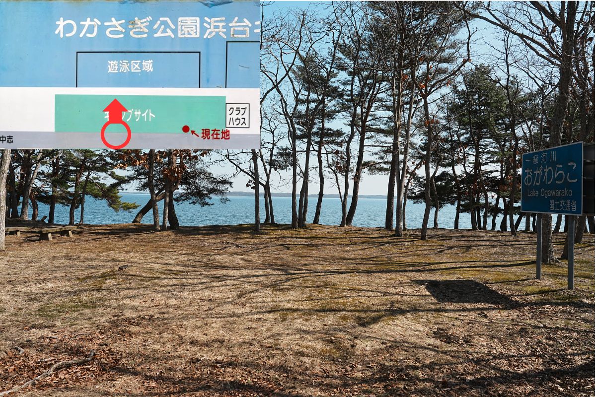 わかさぎ公園浜台キャンプ場 湖畔サイト 解説6