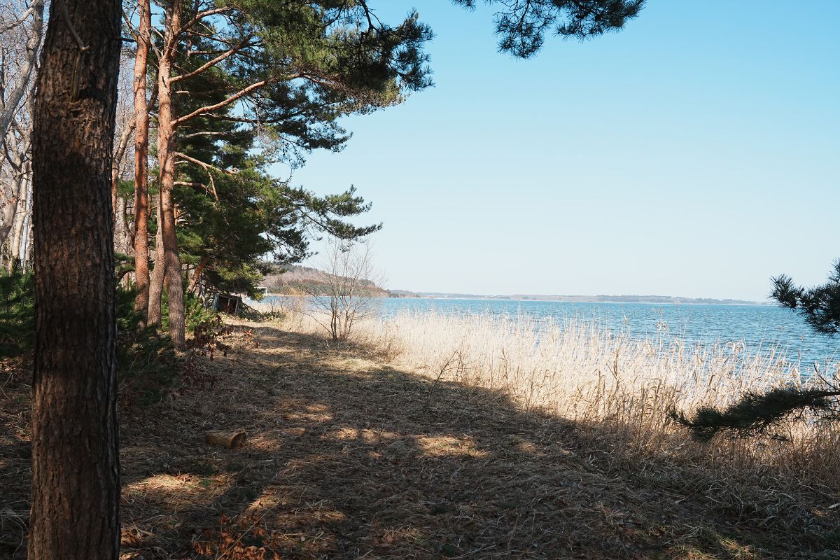 わかさぎ公園浜台キャンプ場 オートキャンプ場 解説14