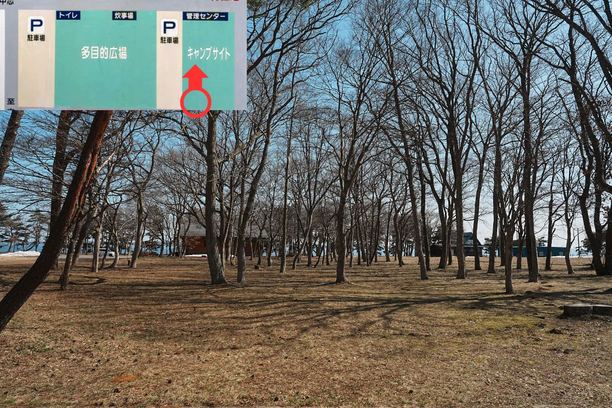 わかさぎ公園浜台キャンプ場 芝生サイト 解説3