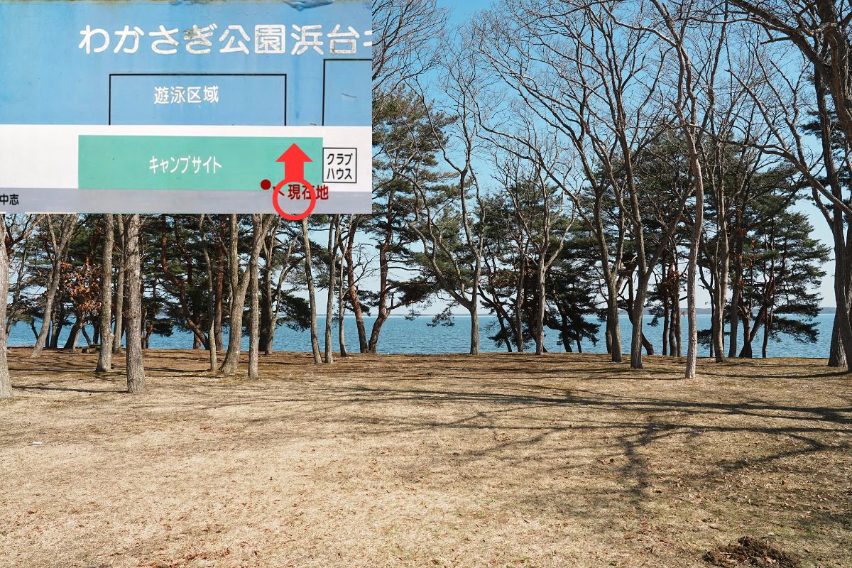 わかさぎ公園浜台キャンプ場 湖畔サイト 解説3