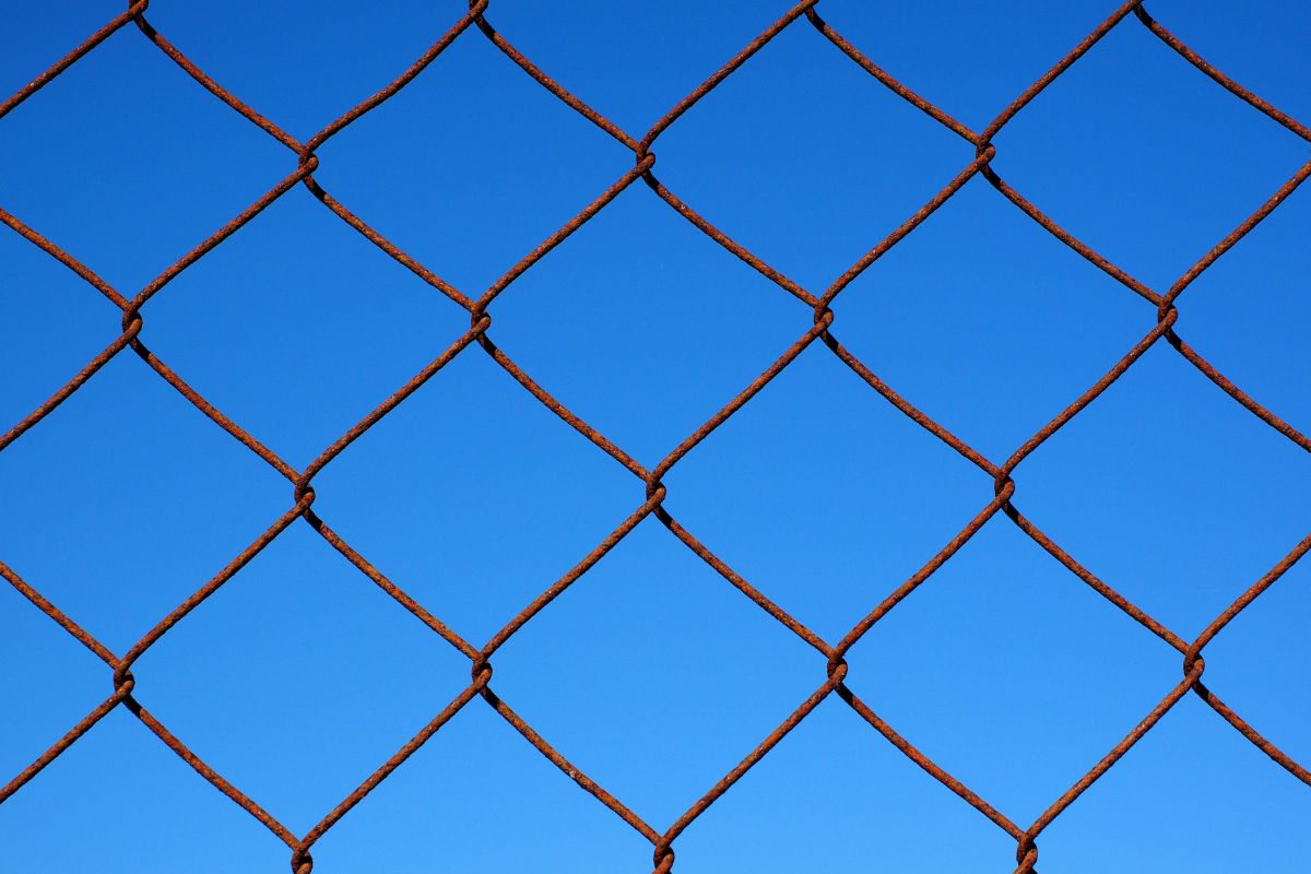 制限　檻　不自由