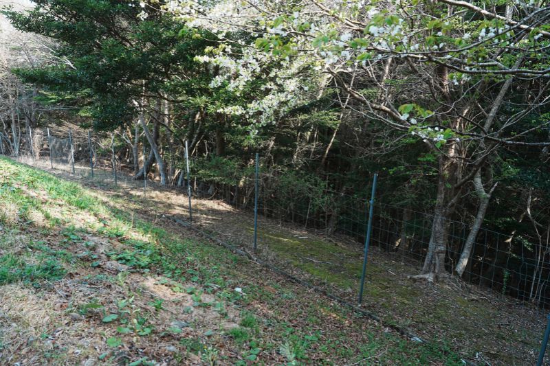 おしか家族旅行村オートキャンプ場　オートサイトA　動物防護柵