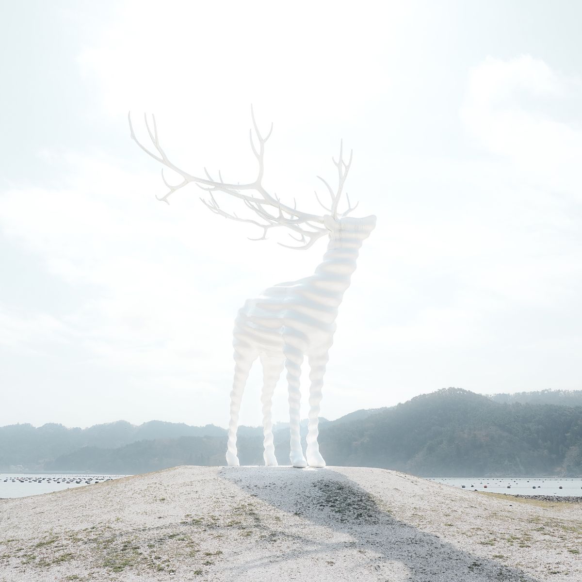 名和晃平「White Deer (Oshika)」