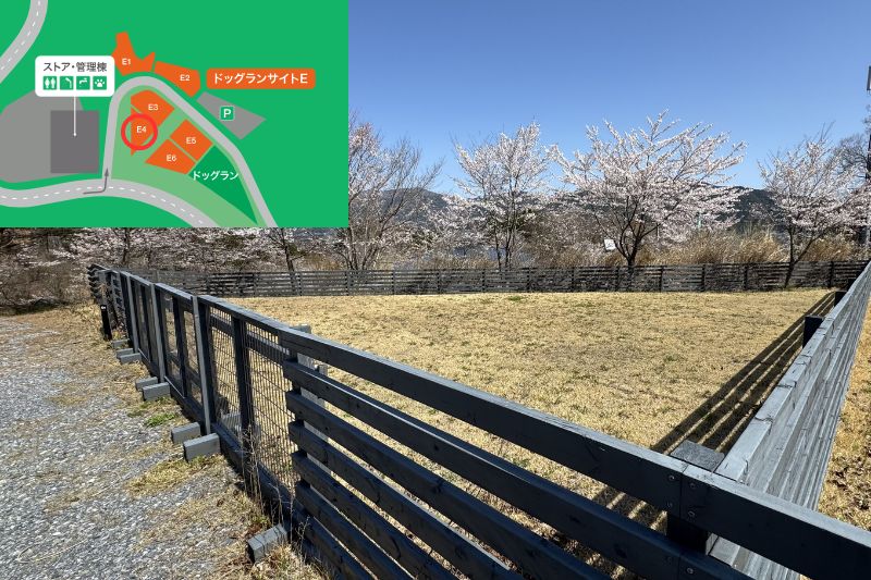 Snow Peak 陸前高田キャンプフィールド　ドッグランサイト　E４