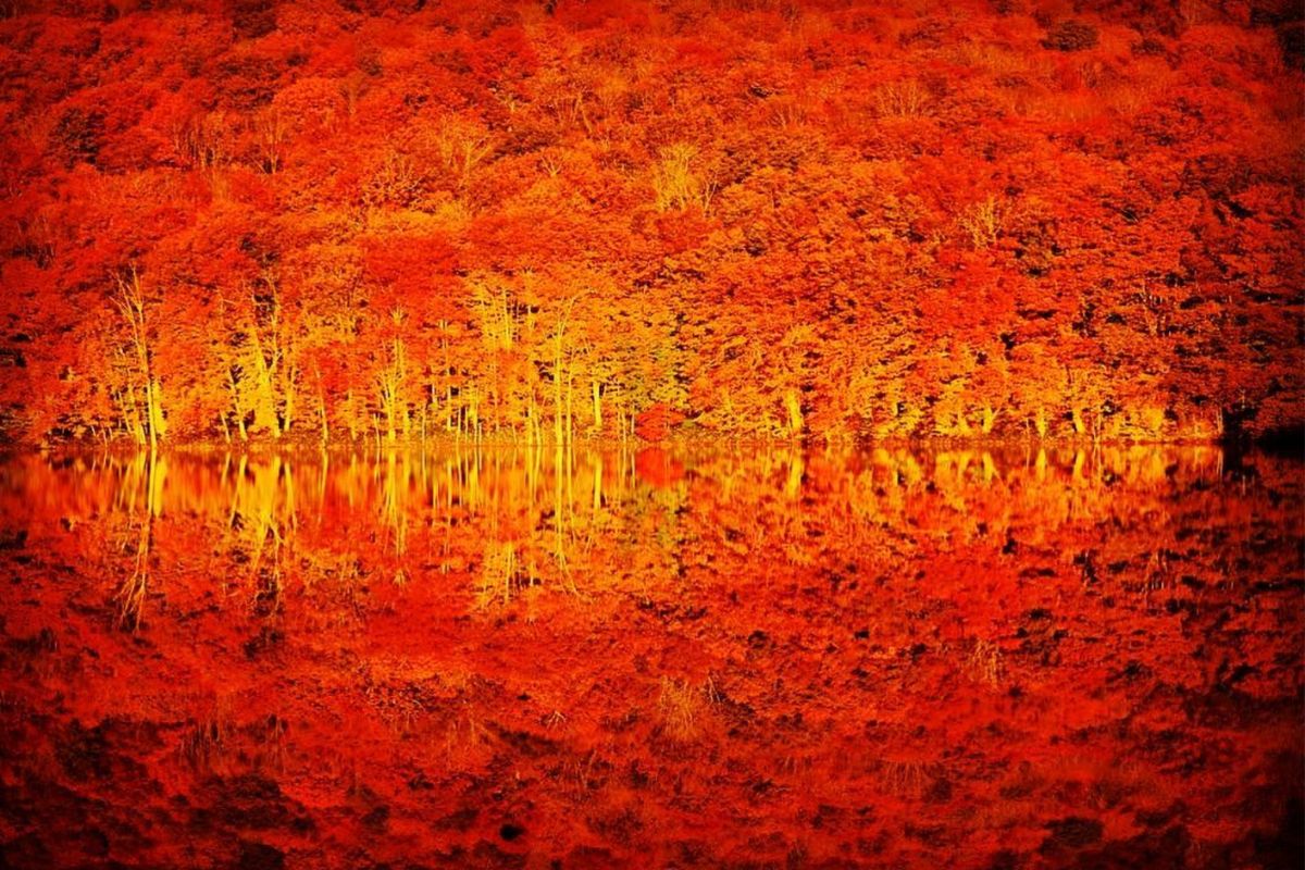 自分の写真　青森　蔦沼　作品　素人