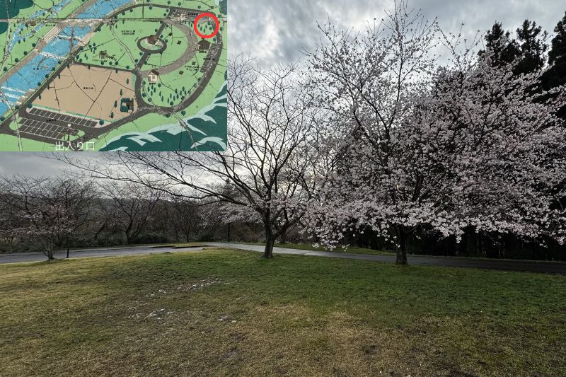 奈曽川河川公園キャンプ場　サイト解説９.１