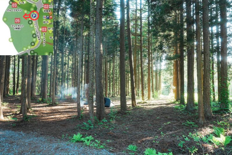 北欧の杜オートキャンプ場　フリーサイト　林間　解説１