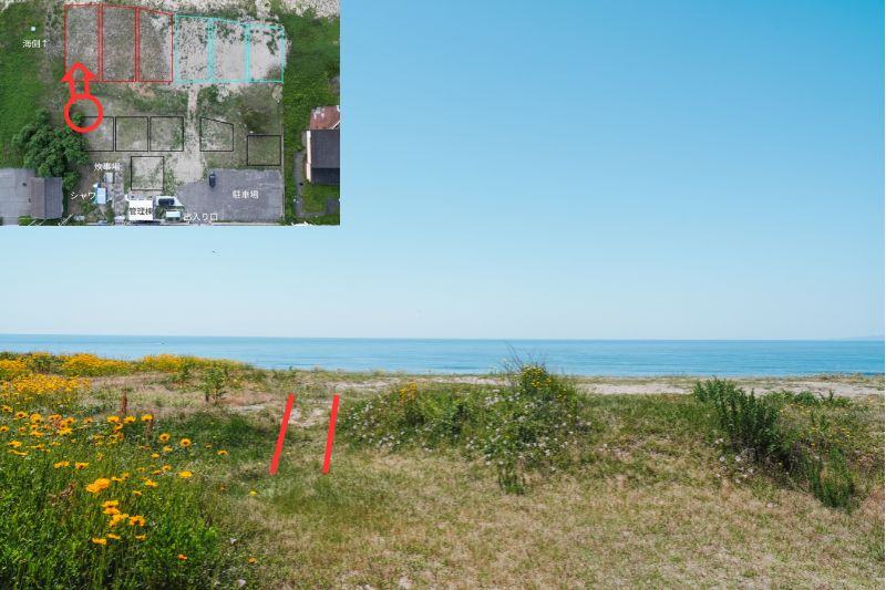 sunset side base 海側サイト 草地 左 解説