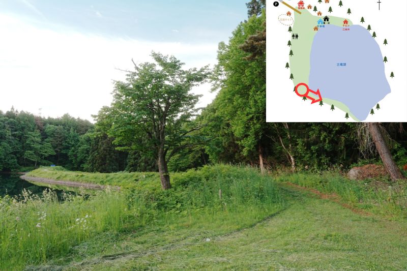 古竜湖キャンプ場　テントサイト　遊歩道